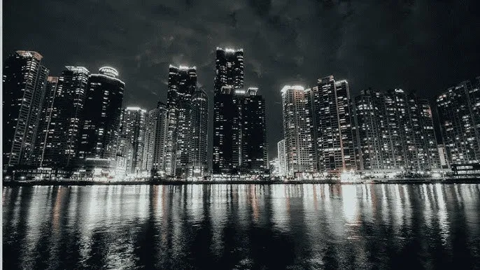 魔法仙踪 - 城市之光：霓虹背后的人间烟火